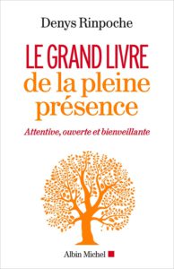 Le Grand Livre de la pleine présence Denys Rinpoché