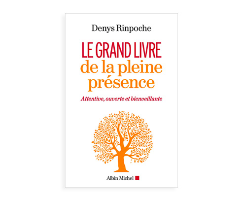 Le Grand Livre de la pleine présence Denys Rinpoché